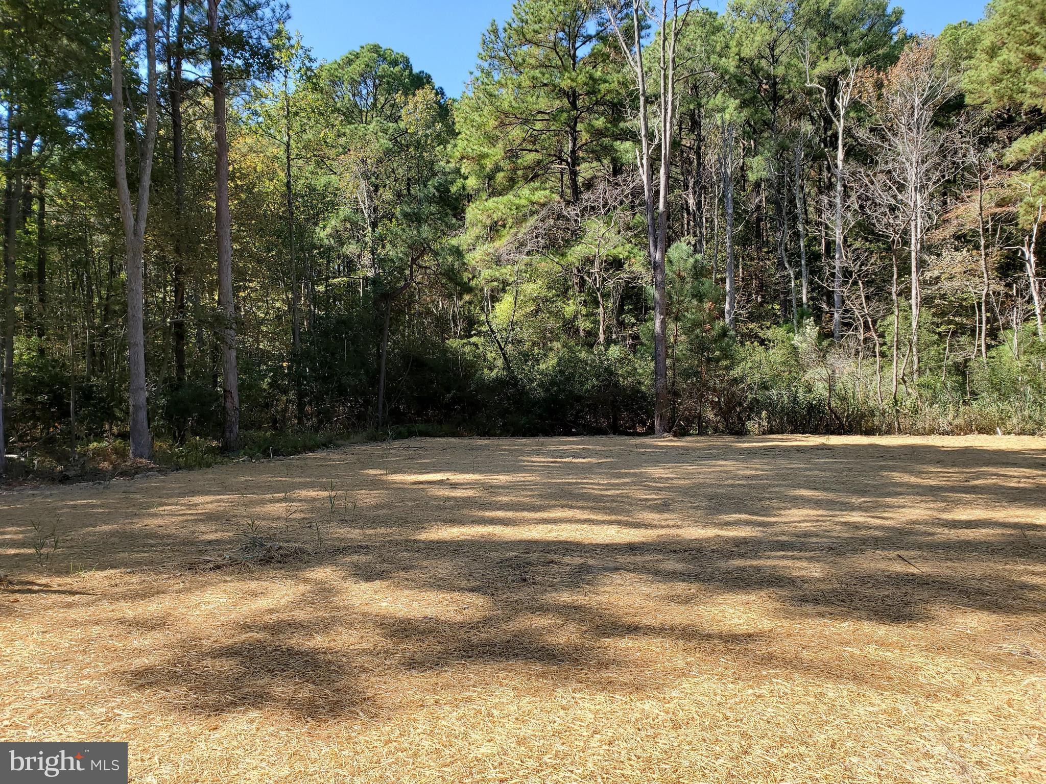121 Cecil Road Stevensville, MD 21666 - Photo 1 of 2 LOT 38 CECIL ROAD