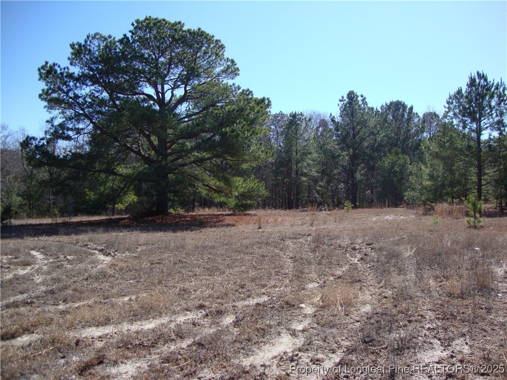 512 Stage Road Spring Lake, NC 28390 - Photo 11 of 24 Gallery Image 11