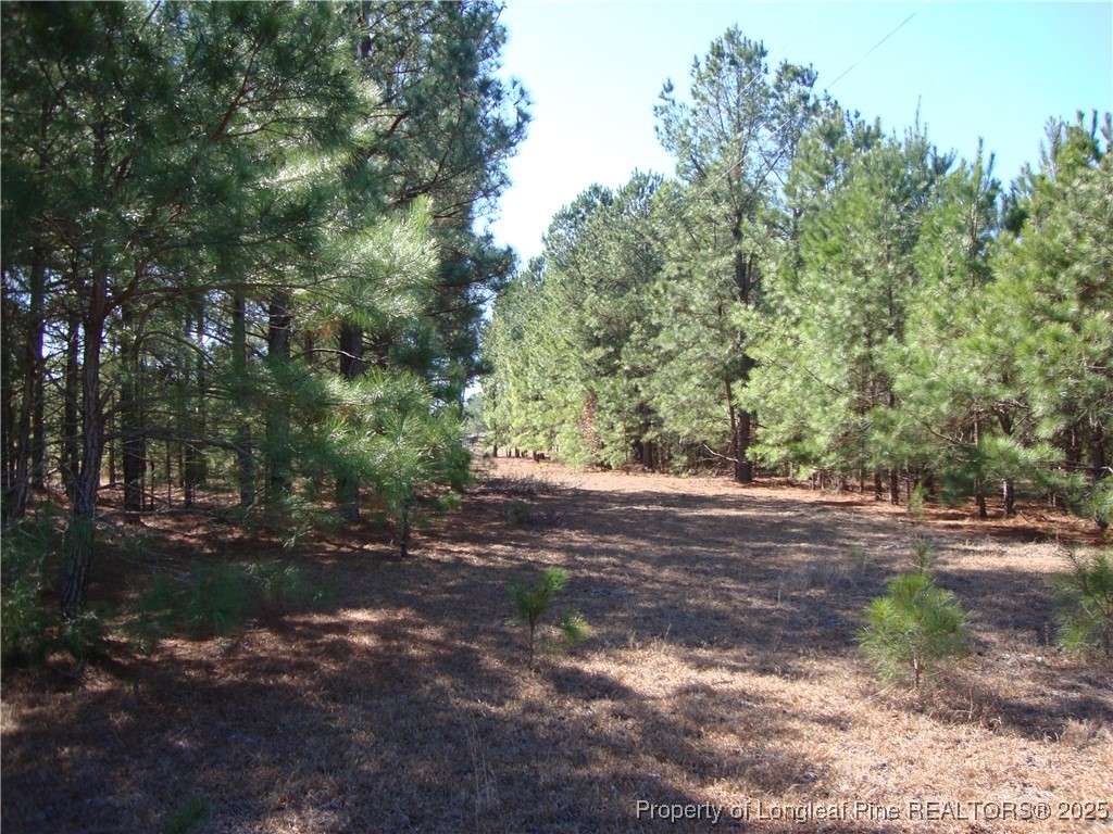 512 Stage Road Spring Lake, NC 28390 - Photo 12 of 24 Gallery Image 12