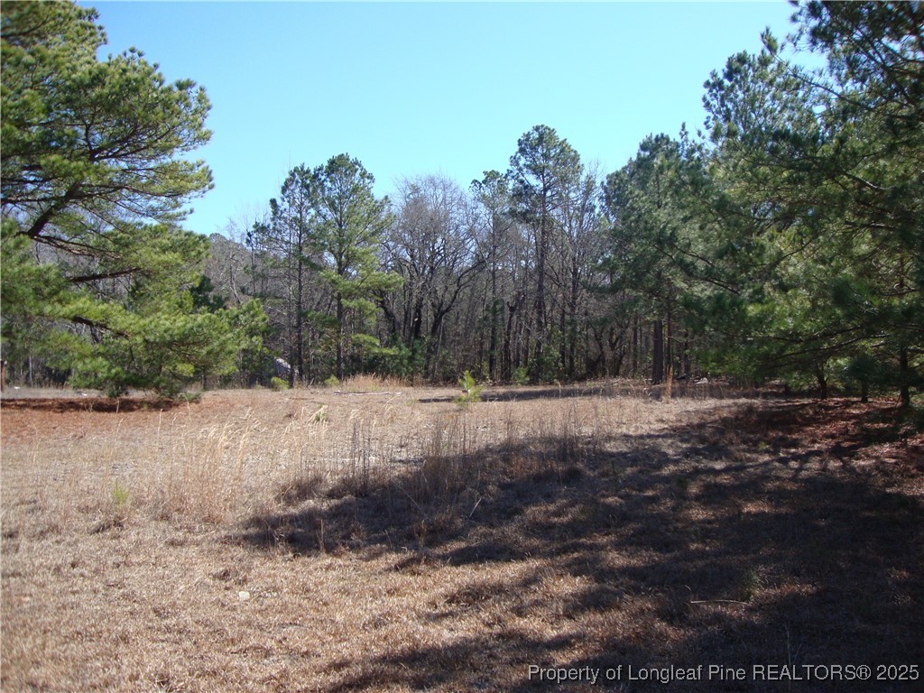512 Stage Road Spring Lake, NC 28390 - Photo 13 of 24 Gallery Image 13