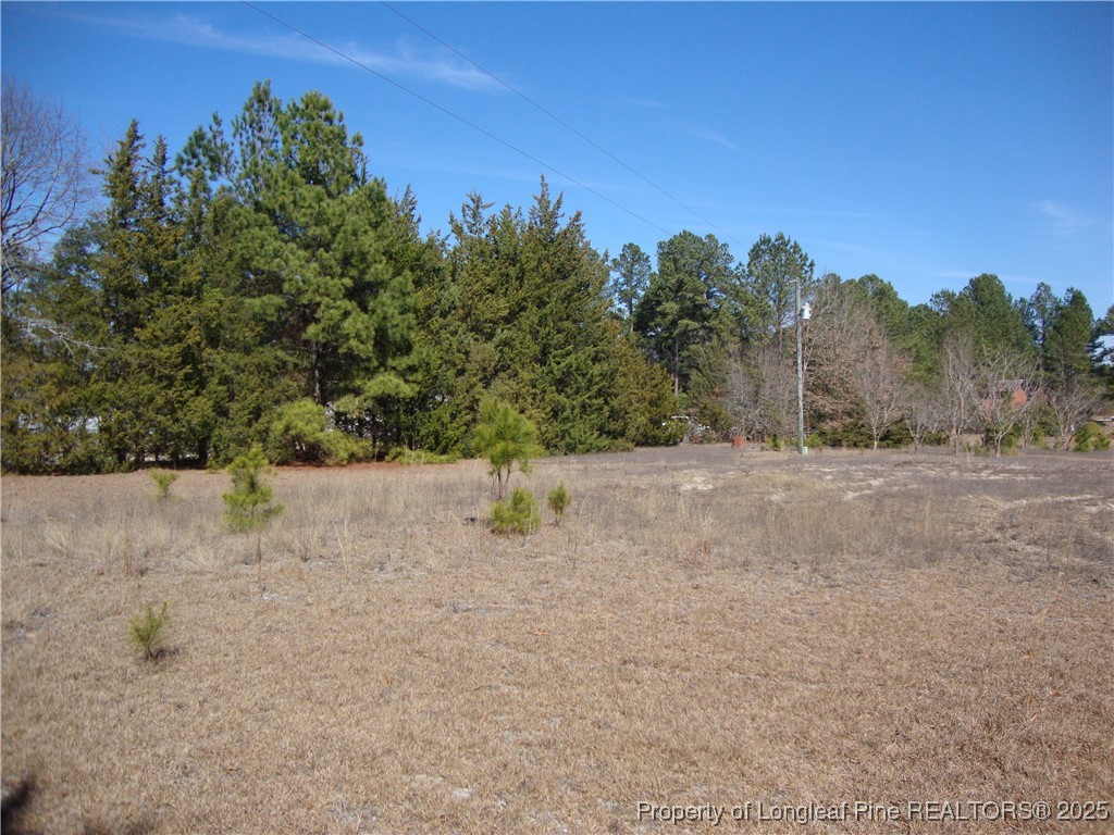 512 Stage Road Spring Lake, NC 28390 - Photo 15 of 24 Gallery Image 15