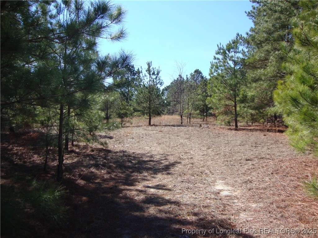 512 Stage Road Spring Lake, NC 28390 - Photo 16 of 24 Gallery Image 16