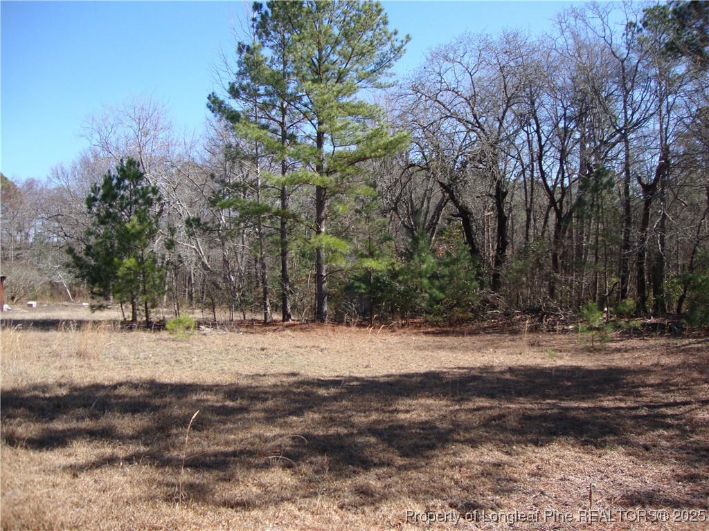 512 Stage Road Spring Lake, NC 28390 - Photo 17 of 24 Gallery Image 17