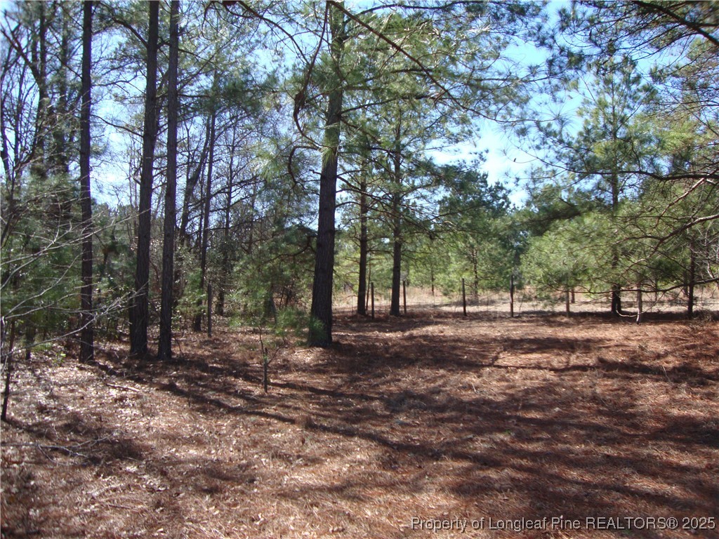 512 Stage Road Spring Lake, NC 28390 - Photo 18 of 24 Gallery Image 18