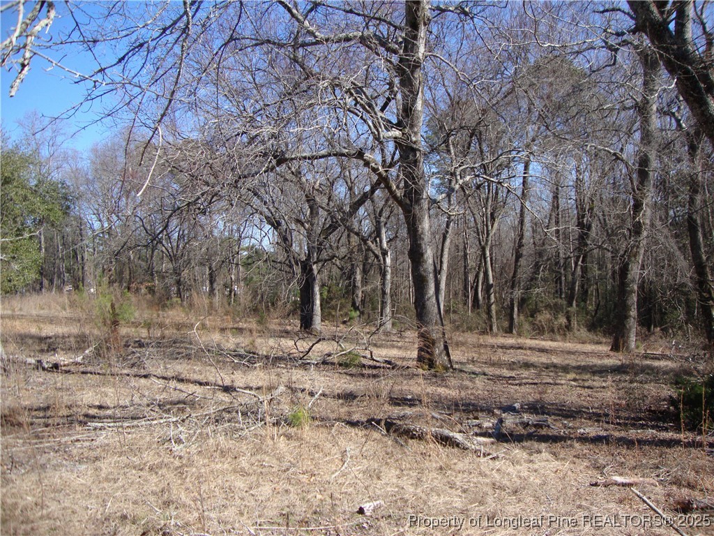 512 Stage Road Spring Lake, NC 28390 - Photo 20 of 24 Gallery Image 20