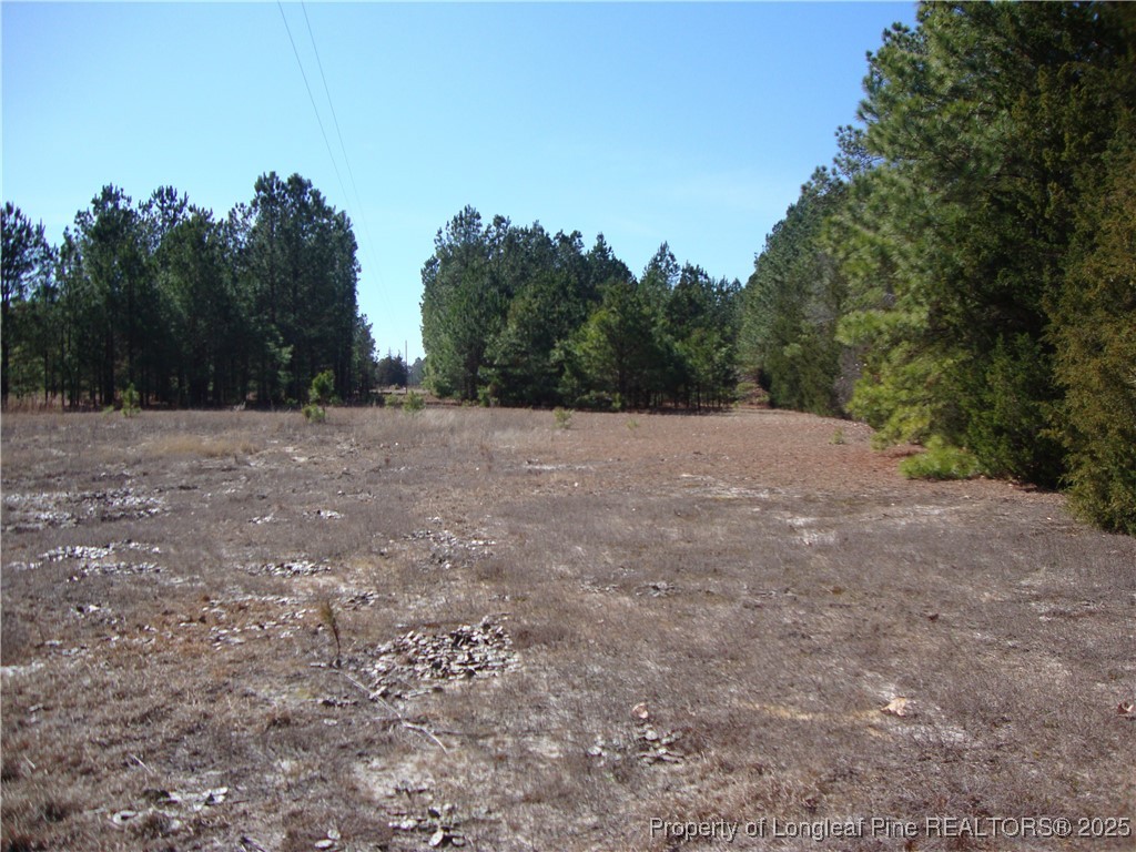 512 Stage Road Spring Lake, NC 28390 - Photo 9 of 24 Gallery Image 9