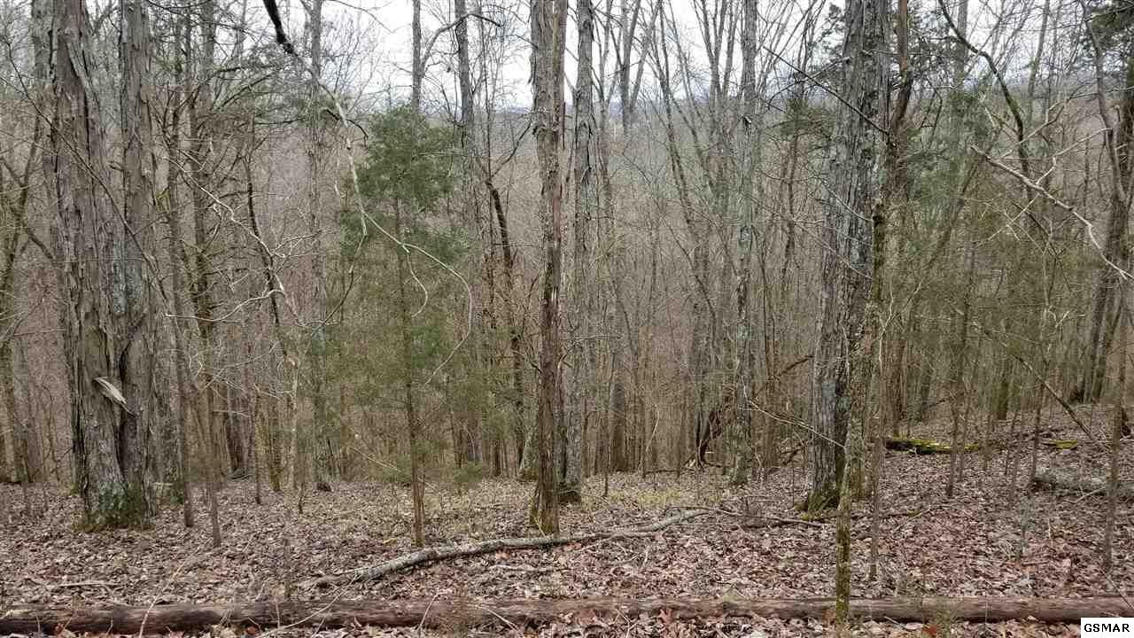 123 Last Chance Road Dandridge, TN 37725 - Photo 3 of 14