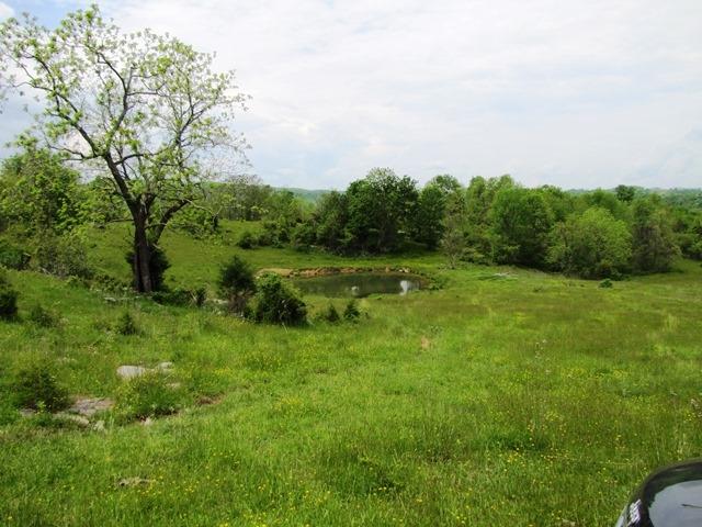 Johnson Crossroads Union, WV 24983 - Photo 13 of 21 Gallery Image 13