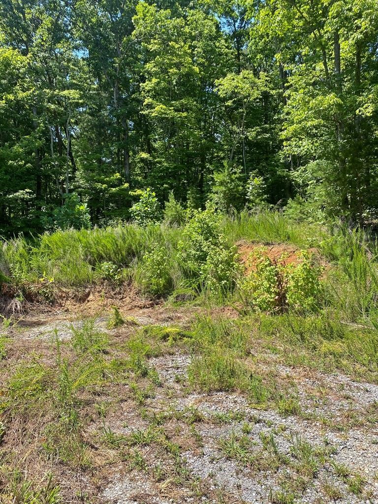 0 Randall Fugate Road Spring City, TN 37381 - Photo 1 of 7 Gallery Image 1