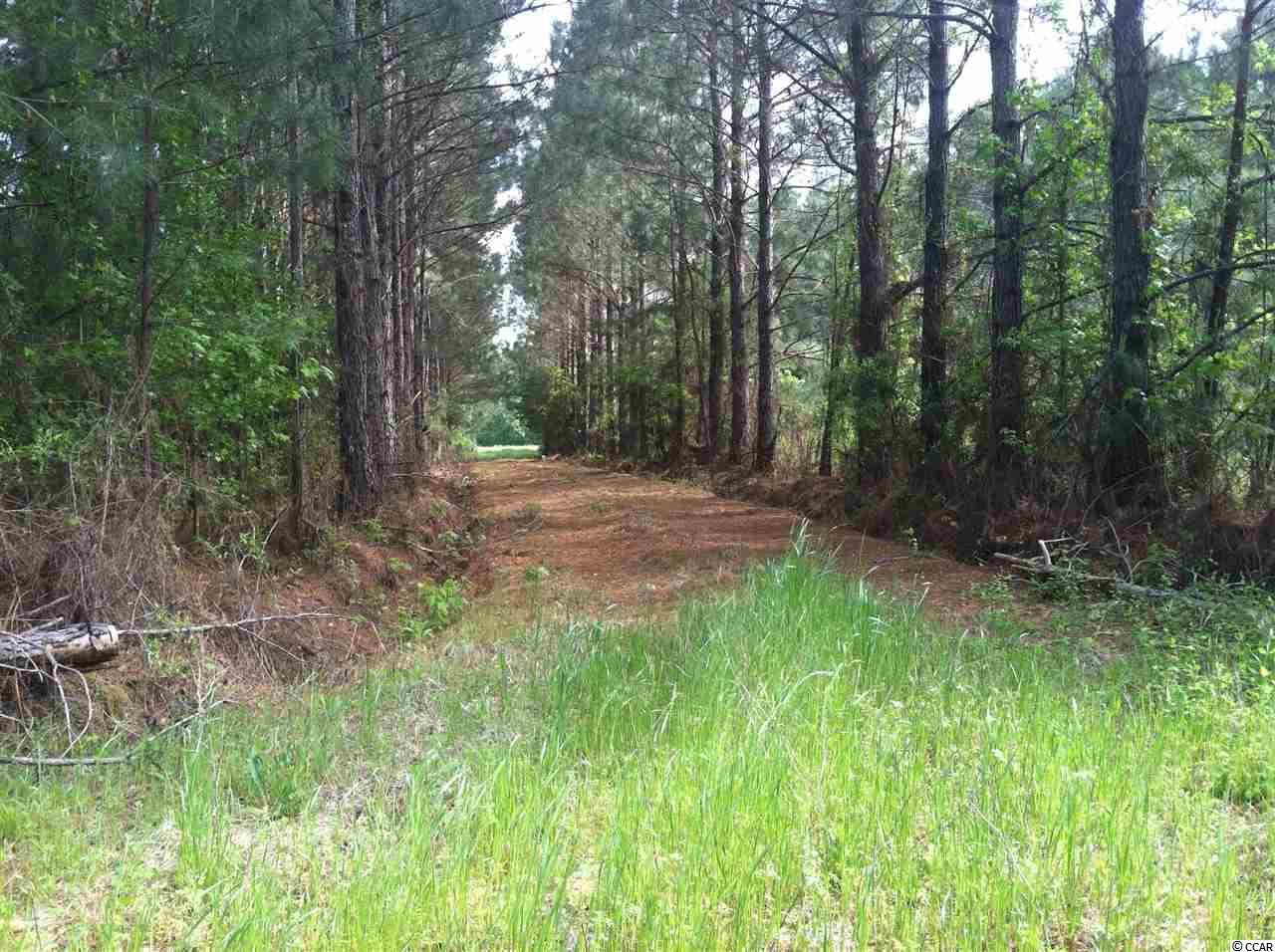 1 Tom Cribb Road Hemingway, SC 29554 - Photo 2 of 2 Gallery Image 2