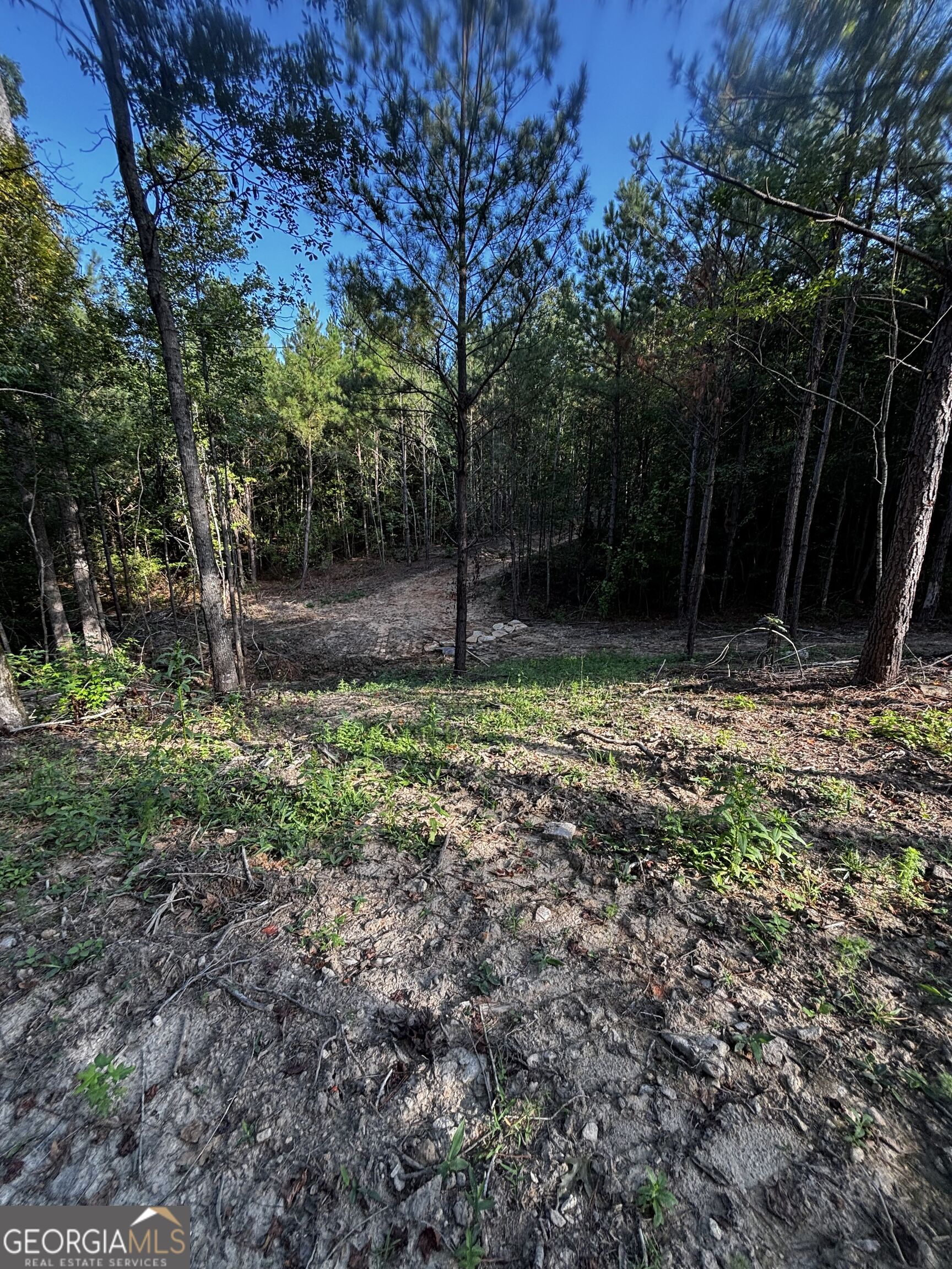 2807 Cedar Creek Road Elberton, GA 30635 - Photo 18 of 40 Gallery Image 18