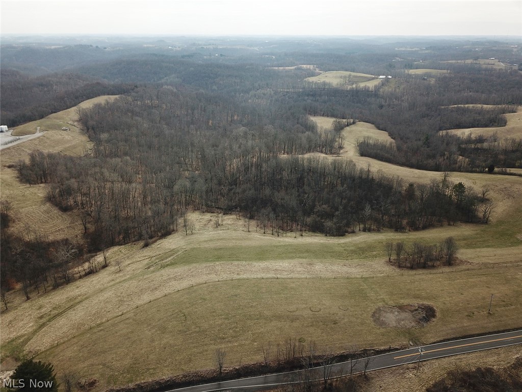 54675 Pugh Ridge Road Alledonia, OH 43902 - Photo 5 of 19