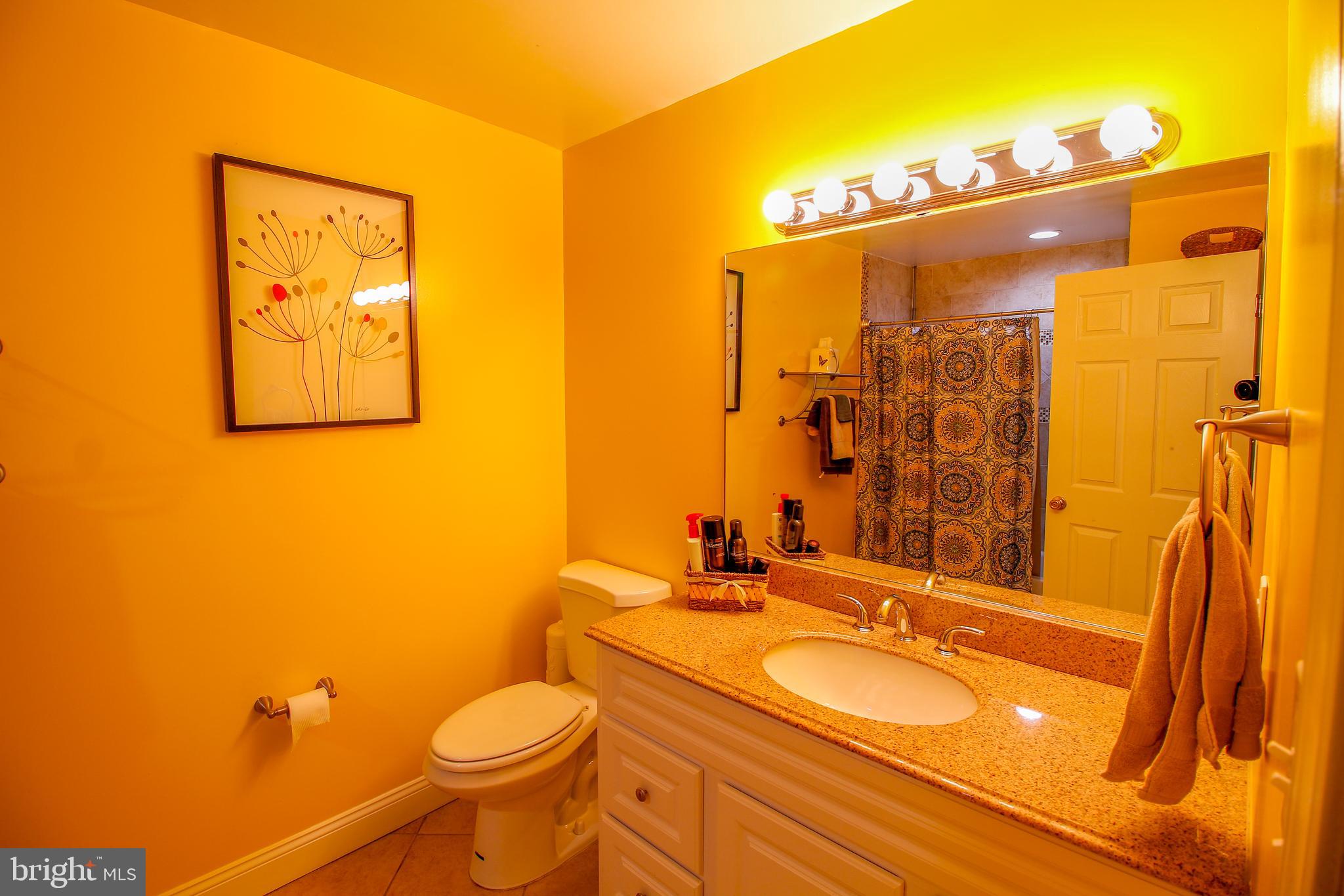 412 Trimble Road Joppa, MD 21085 - Photo 16 of 20 Hall bathroom