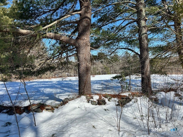 100 Hawkins Road Putnam, CT 06260 - Photo 3 of 5 a view of a backyard of the house