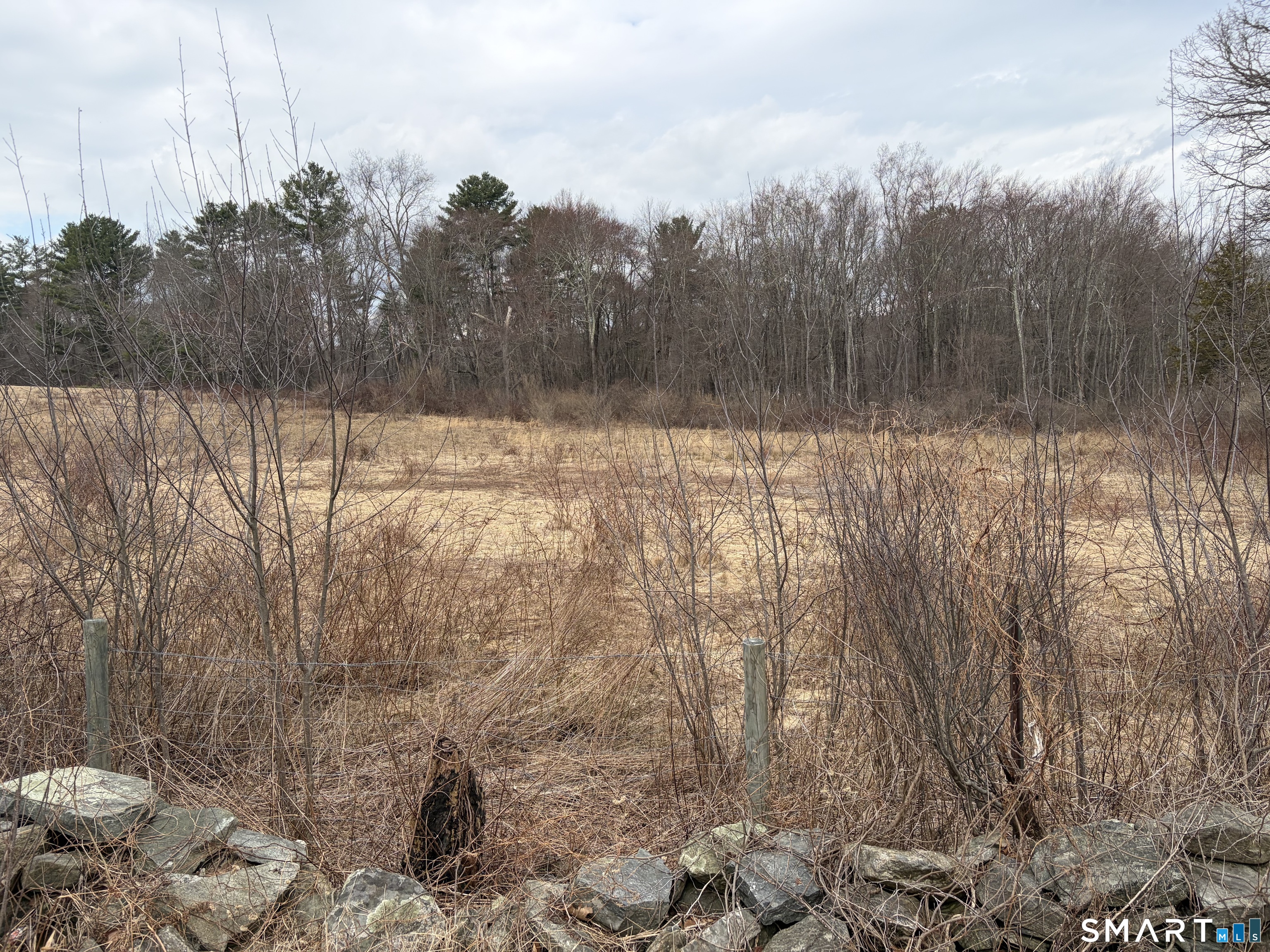 100 Hawkins Road Putnam, CT 06260 - Photo 3 of 10 a view of a forest filled with trees