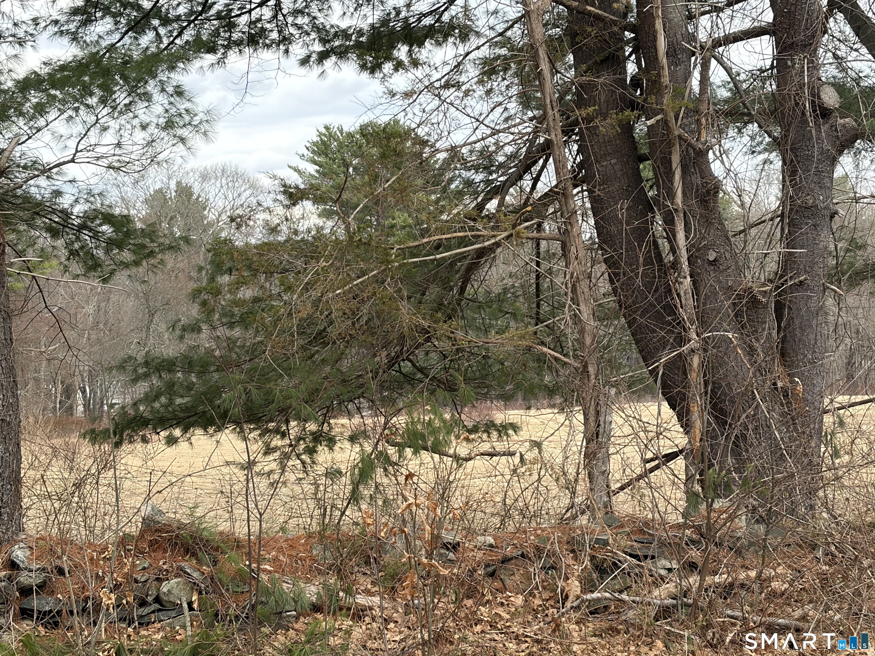 100 Hawkins Road Putnam, CT 06260 - Photo 5 of 10 a view of a yard