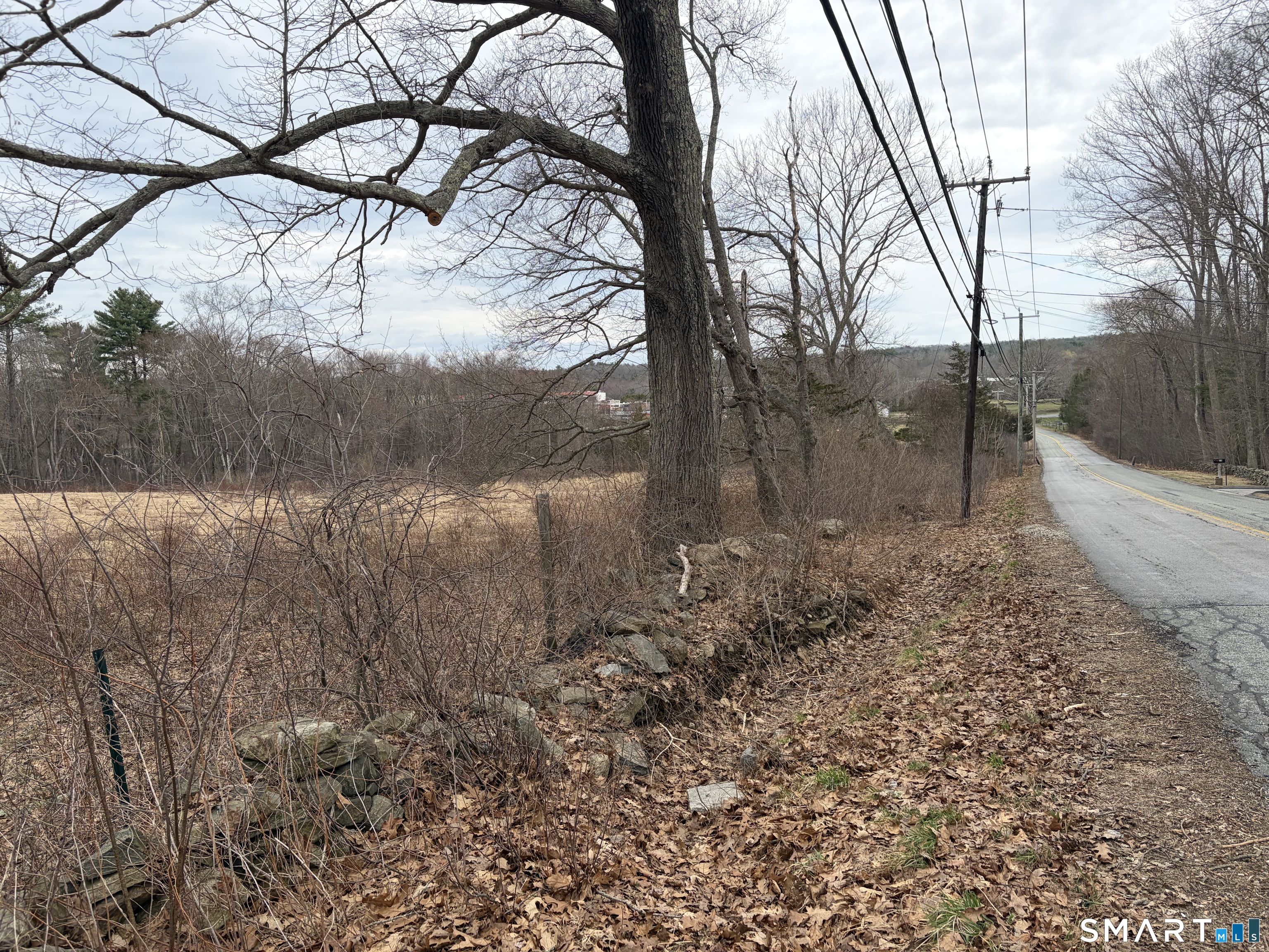 100 Hawkins Road Putnam, CT 06260 - Photo 8 of 10 a view of a yard