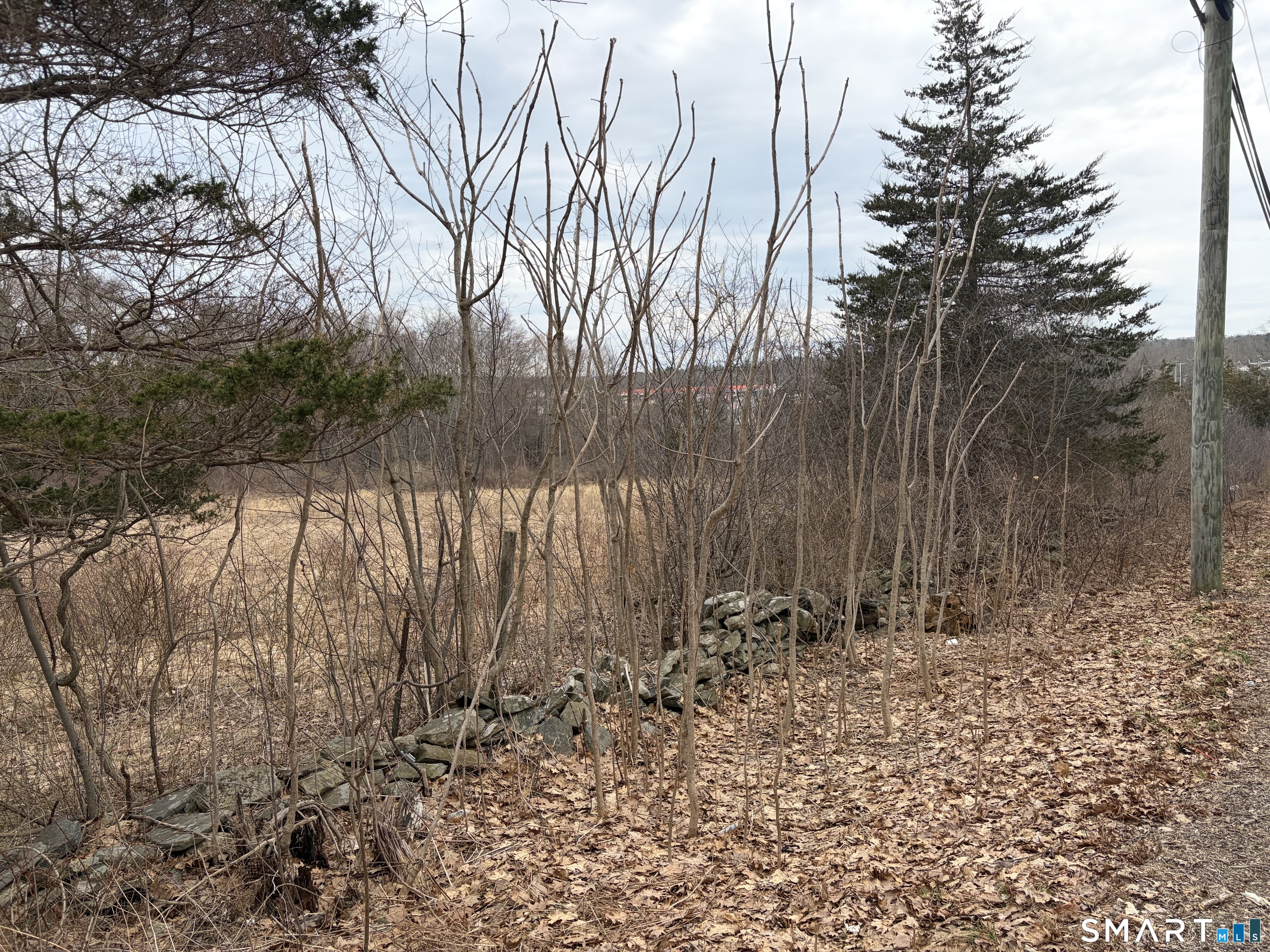 100 Hawkins Road Putnam, CT 06260 - Photo 10 of 10 a view of backyard with green space