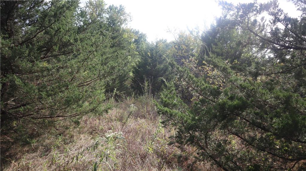 3387 Butler Road Richmond, KS 66080 - Photo 13 of 17