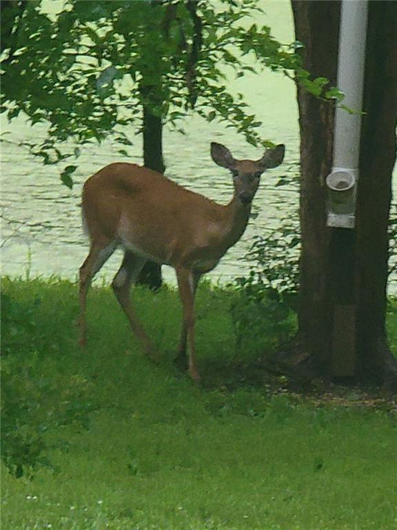 3387 Butler Road Richmond, KS 66080 - Photo 16 of 17