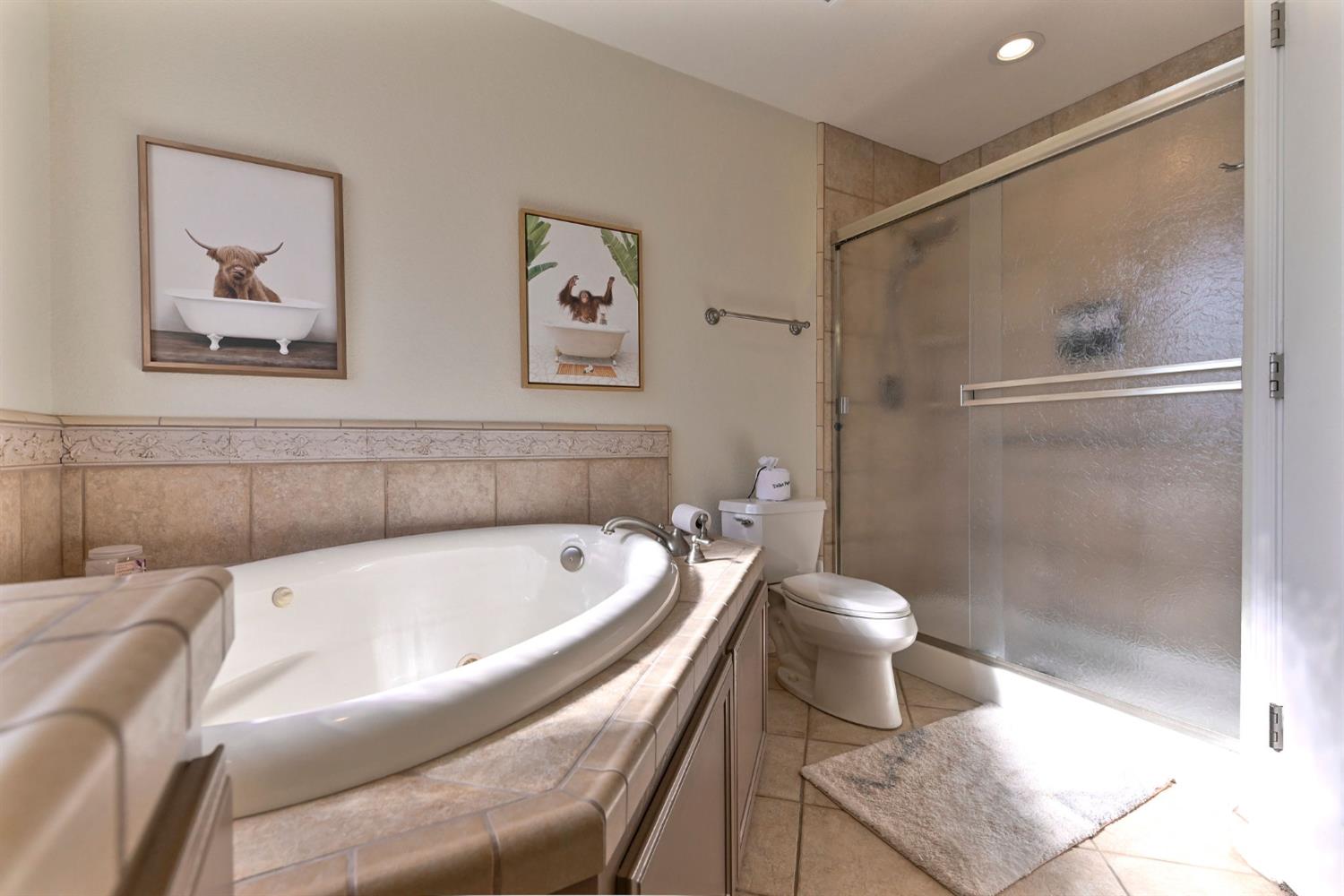 333 Oak Tree Circle Murphys, CA 95247 - Photo 35 of 88 a bathroom with a sink and a bathtub