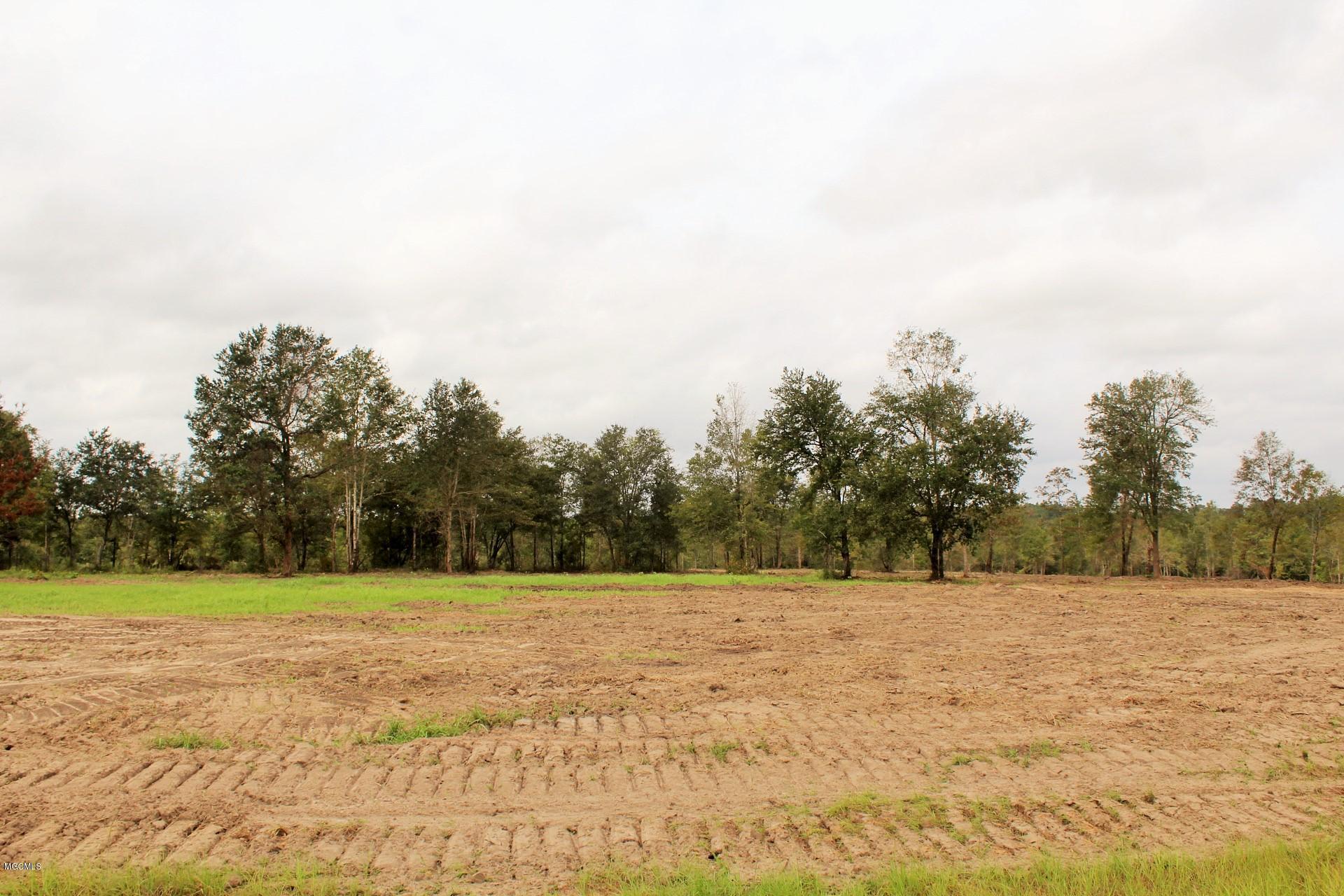 12.47-ac Buddy Finch Road Lucedale, MS 39452 - Photo 4 of 9 IMG_7877