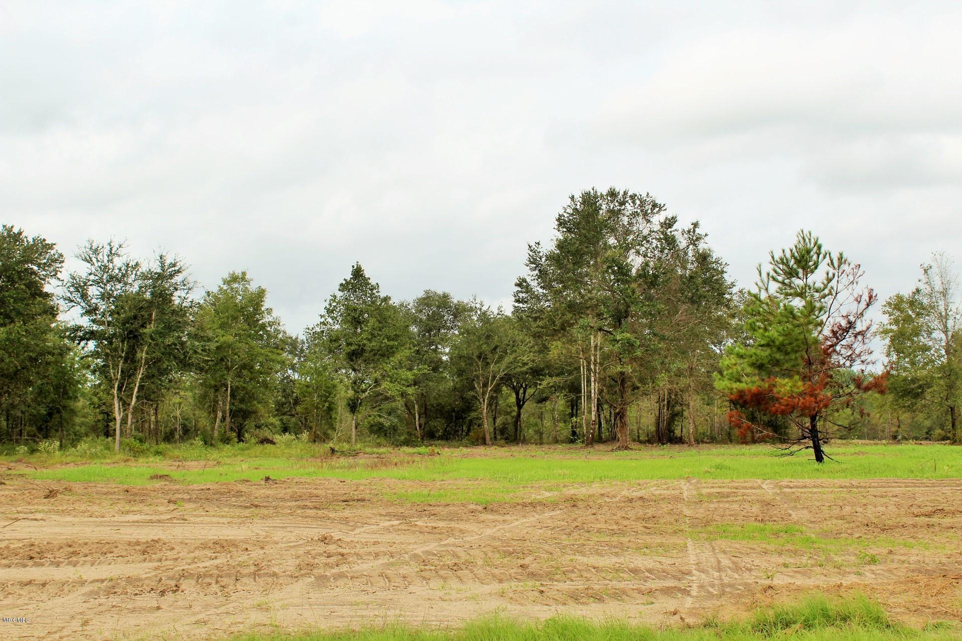12.47-ac Buddy Finch Road Lucedale, MS 39452 - Photo 5 of 9 IMG_7869