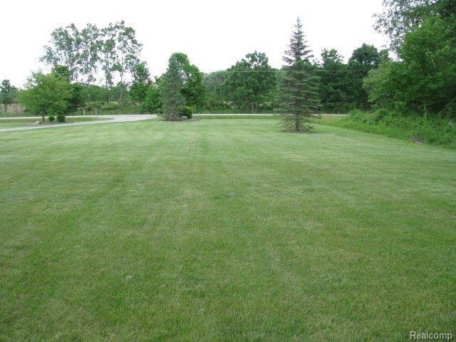 62157 Wolcott Road Ray, MI 48096 - Photo 22 of 25 Front Yard.JPG
