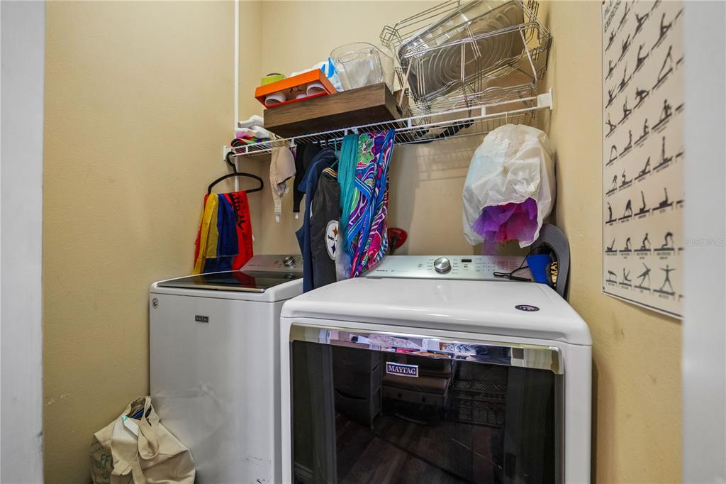 11622 Timber Ridge Drive Tampa, FL 33625 - Photo 21 of 43