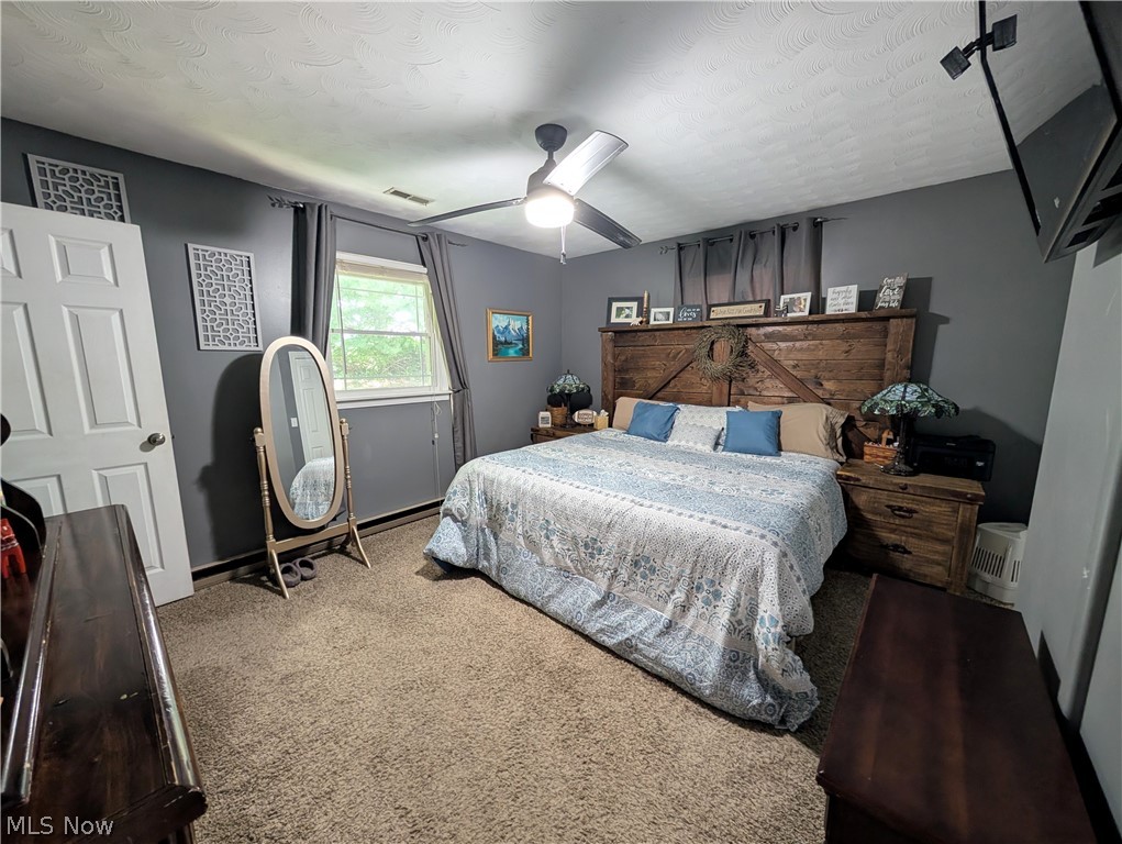 6700 McCaslin Road Nashport, OH 43830 - Photo 22 of 30 Carpeted room featuring a ceiling fan with integrated lighting, a paneled door, and a window with curtain rods