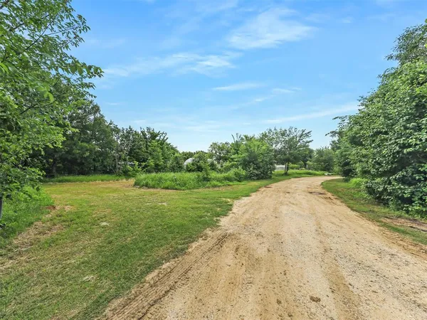a view of a grassy field with trees