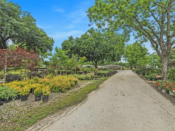 a view of a pathway with a yard