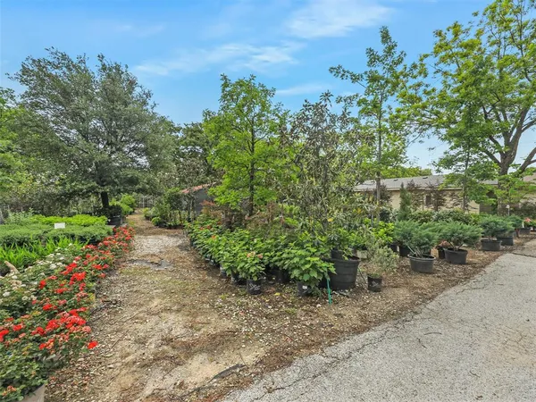 a view of a garden with plants and large trees