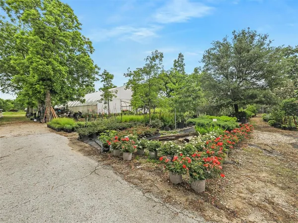 a view of a garden with plants