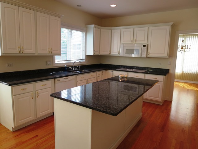 1781 Porter Court Lombard, IL 60148 - Photo 5 of 23