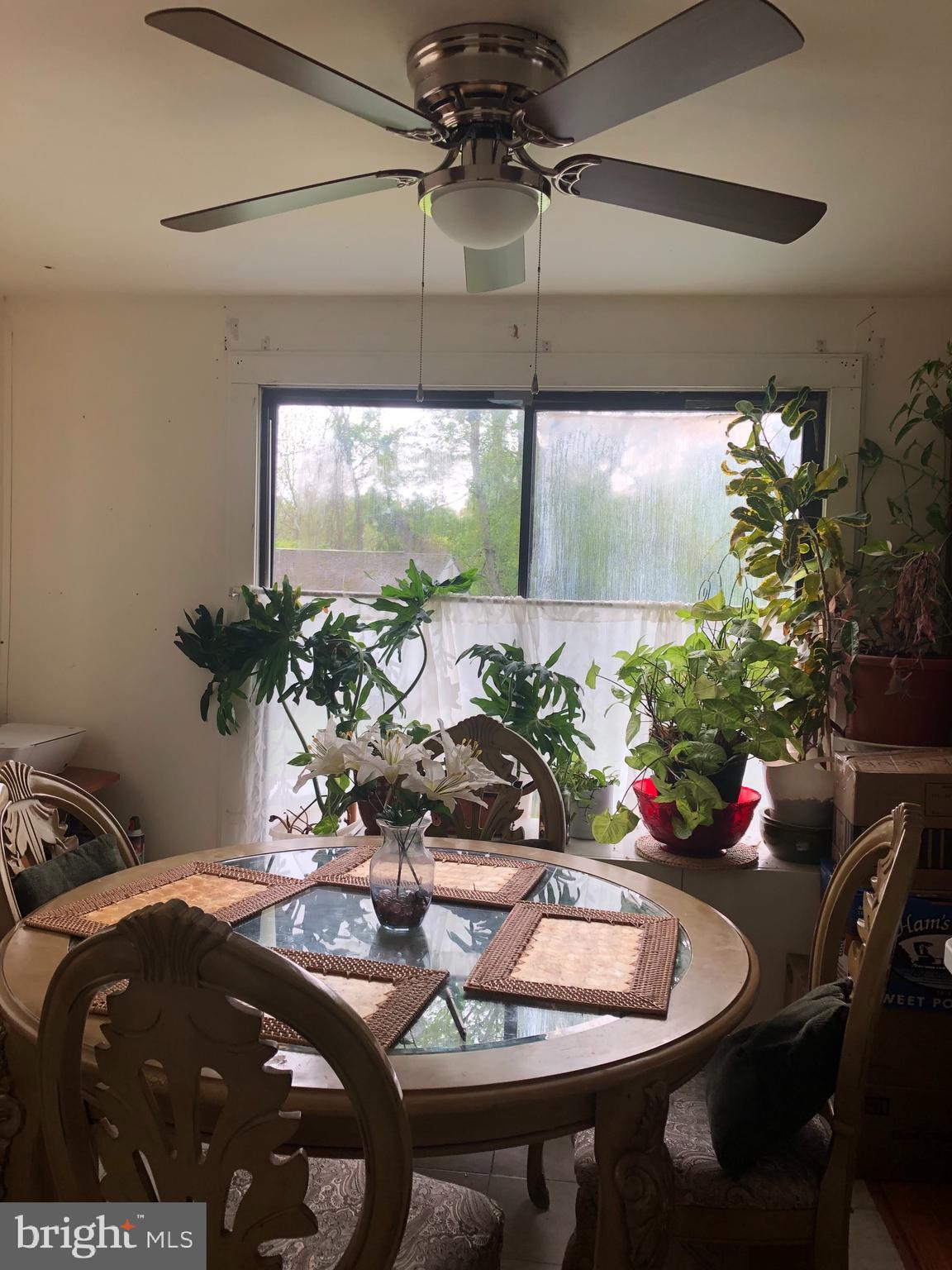 913 Ednor Road Silver Spring, MD 20905 - Photo 30 of 31