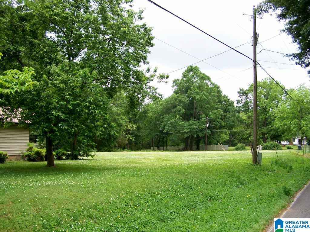 1270 White Plains Road Anniston, AL 36207 - Photo 2 of 44