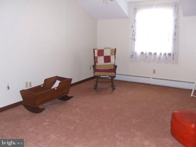 111 Risser Road Bainbridge, PA 17502 - Photo 23 of 33 Gallery Image 23