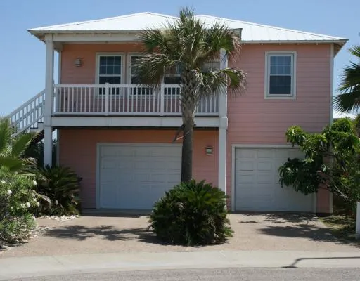 a potted plants sitting in front of a house
