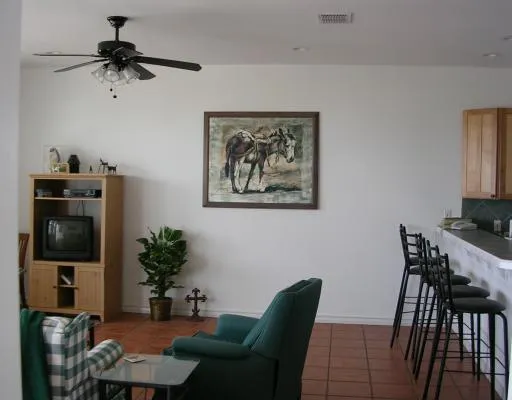 a view of a livingroom with furniture and a potted plant