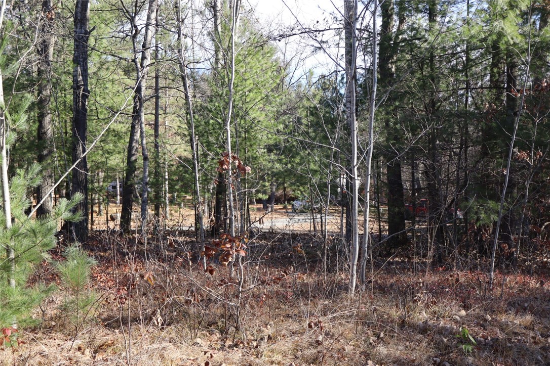 N8724 Lakeside Road Willard, WI 54493 - Photo 15 of 20