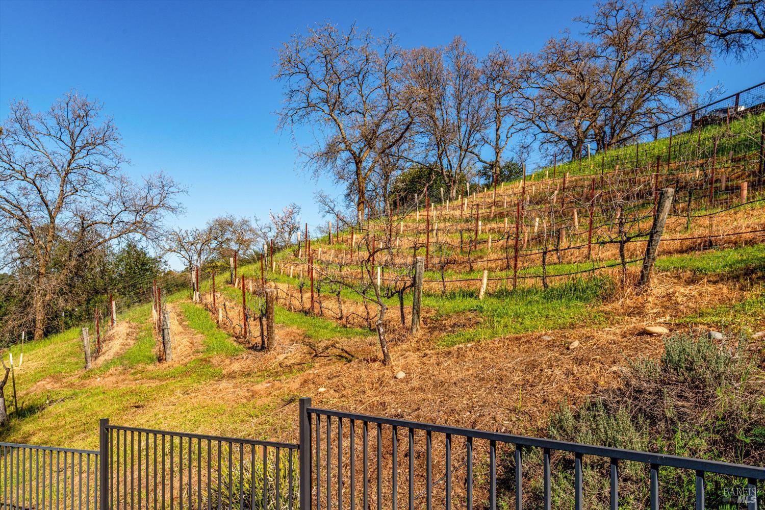 6812 Gibson Canyon Road Vacaville, CA 95688 - Photo 3 of 78