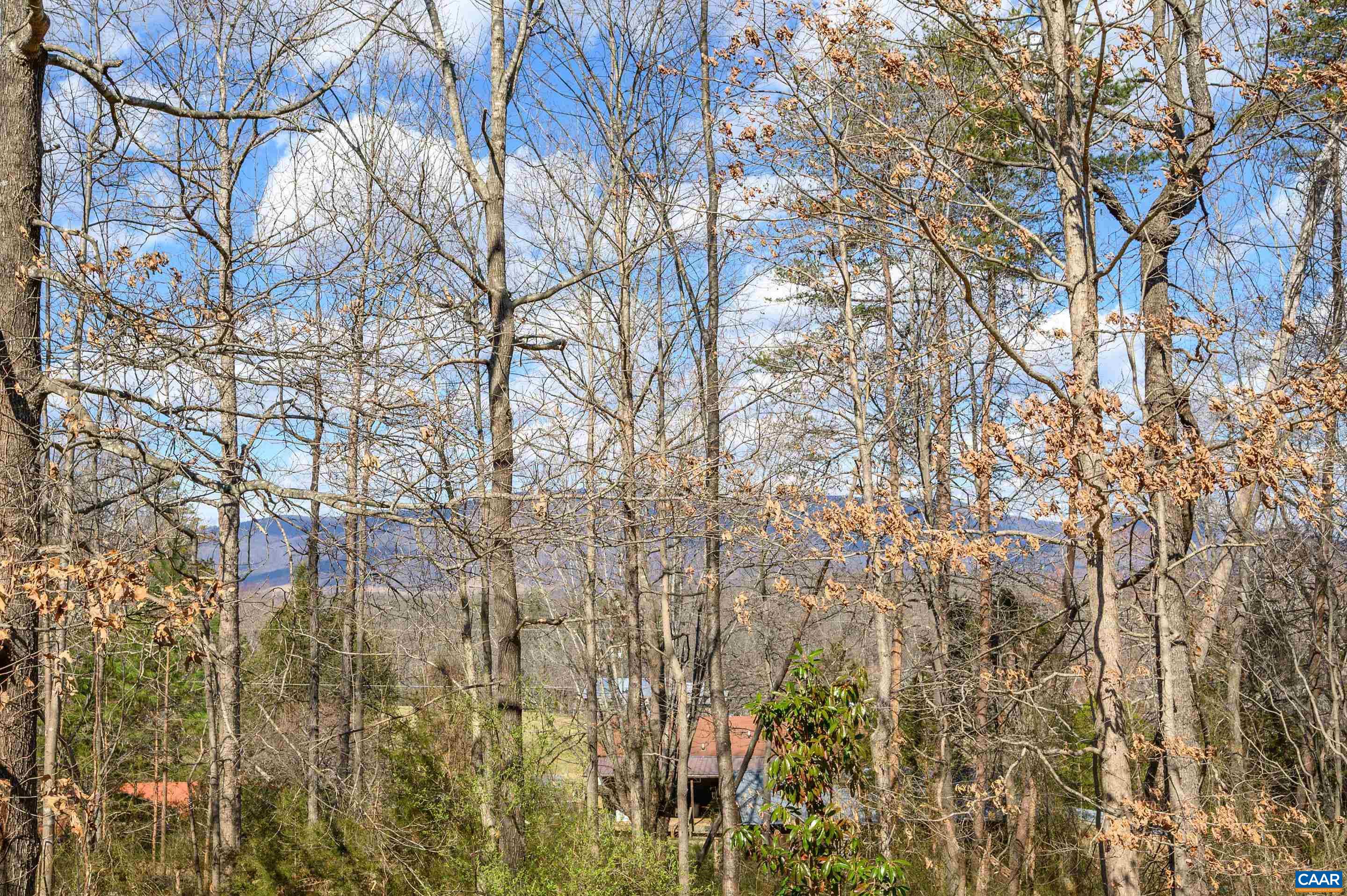 419 Burchs Creek Road Crozet, VA 22932 - Photo 25 of 27 Gallery Image 25