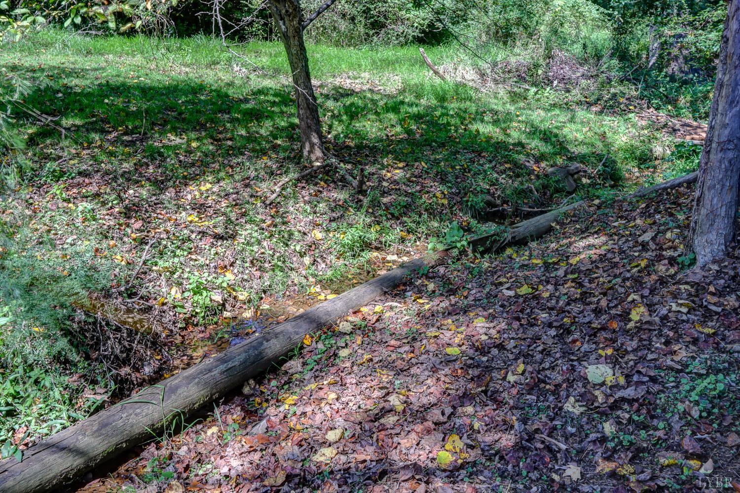 116 Bryant Road Lynchburg, VA 24502 - Photo 55 of 62 a view of a garden with plants and a bench