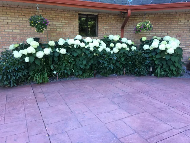 $1,375,000 | 1000 Heritage Lane, Orono, MN 55391