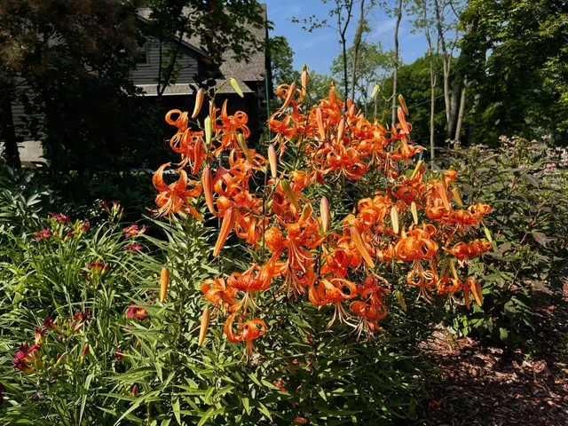 $1,375,000 | 1000 Heritage Lane, Orono, MN 55391