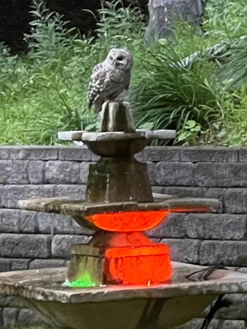 $1,375,000 | 1000 Heritage Lane, Orono, MN 55391