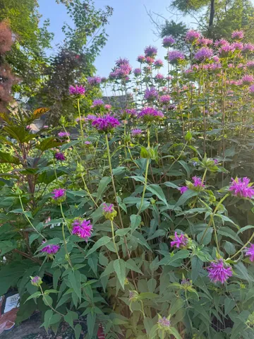 $1,375,000 | 1000 Heritage Lane, Orono, MN 55391