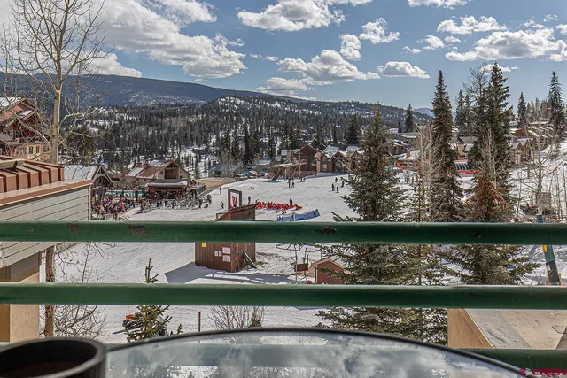 $599,000 | 117 Needles Way, Unit 421, Durango, CO 81301