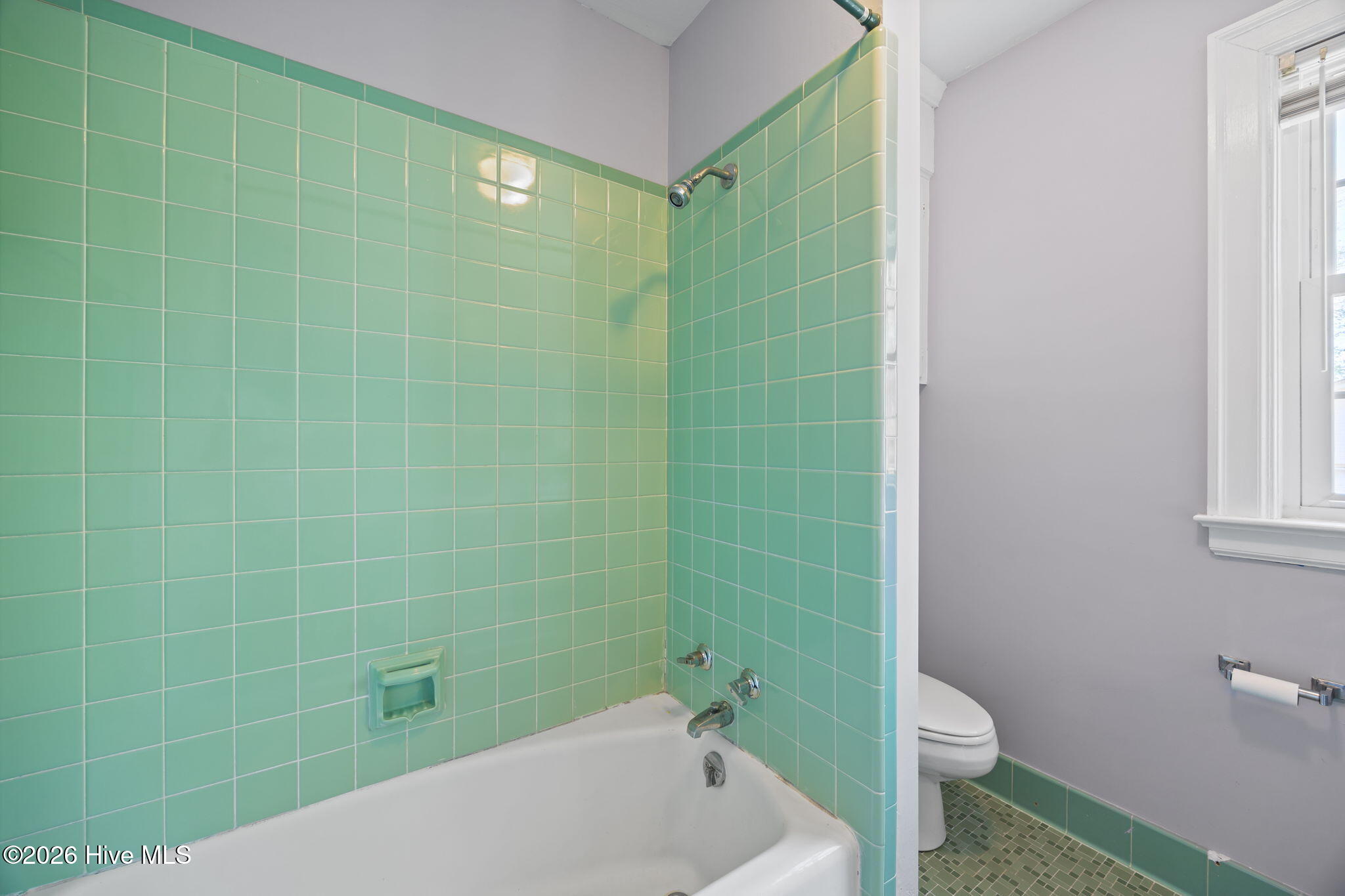 1104 West Rock Spring Road Greenville, NC 27858 - Photo 50 of 56 Natural Light - Full Bath with Tub/Shower